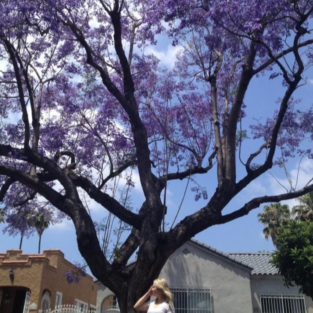 Meet your Posher, Jaclyn